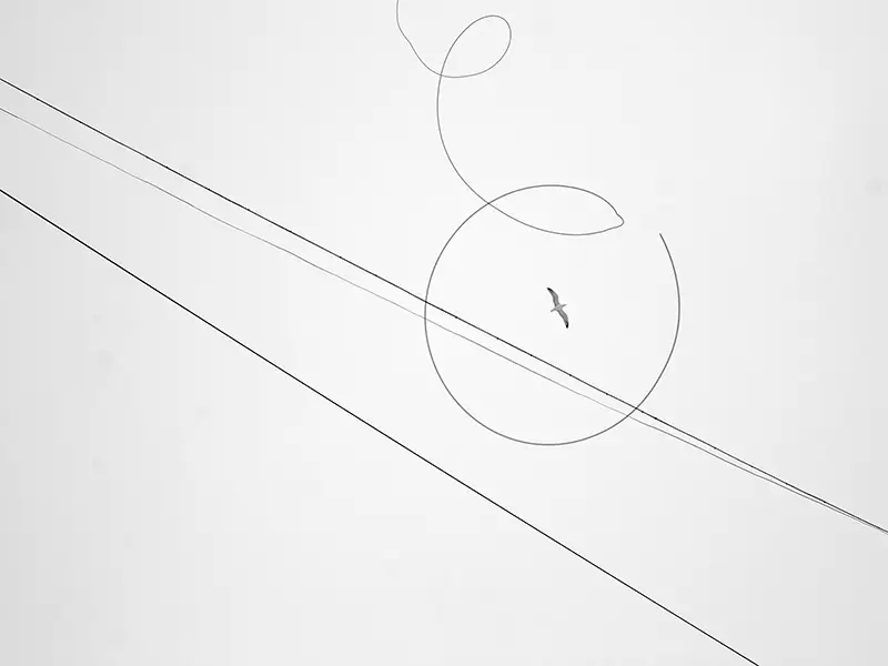 Webdesign & Animation: Wie viel Bewegung braucht deine Website wirklich?