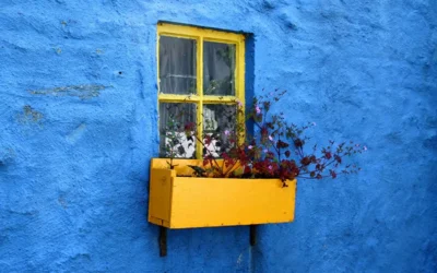 Farbschemata und ihre Psychologische Wirkung im Grafik- und Webdesign: Wie Farben Deine Designs beeinflussen