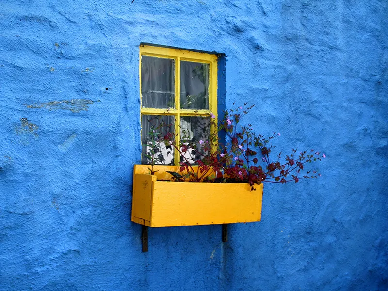 Farbschemata und ihre Psychologische Wirkung im Grafik- und Webdesign: Wie Farben Deine Designs beeinflussen