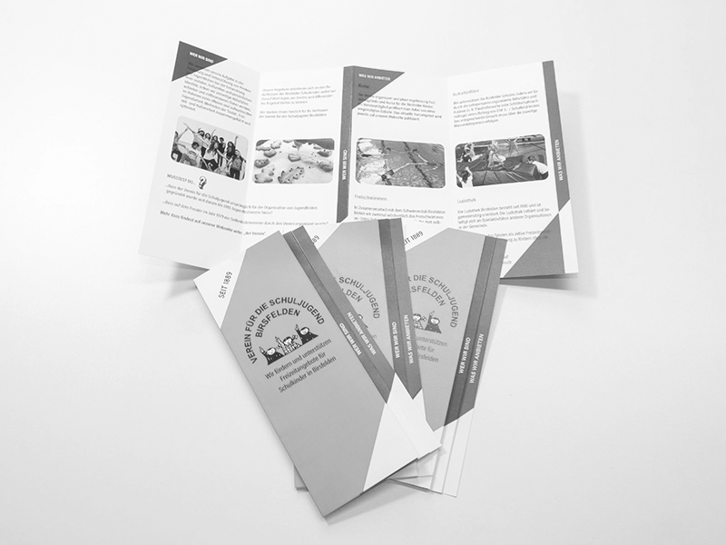 Verein Schuljugend Birsfelden